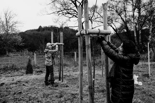 Im Frühling soll der Waldgarten in Mersch für die breite Gesellschaft geöffnet werden