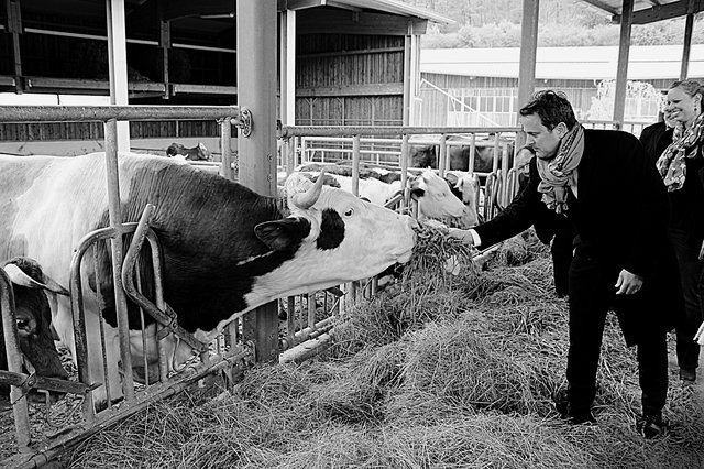 Xavier Bettel