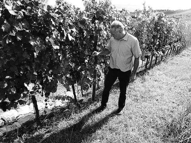 Des vignes de Jean-Marie Vesque sont dans le périmètre concerné