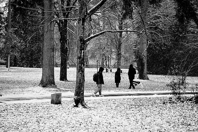 Le Parc Tony Neuman, au Limpertsberg,  ce lundi midi
