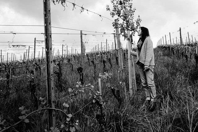 Corinne Kox, ce  mercredi dans une parcelle où la vigne et les arbres fruitiers se cotoient