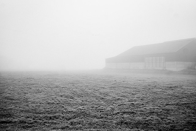 Ohne Nebel geht im Leben gar nichts. Wieso also  den Nebel vertreiben?