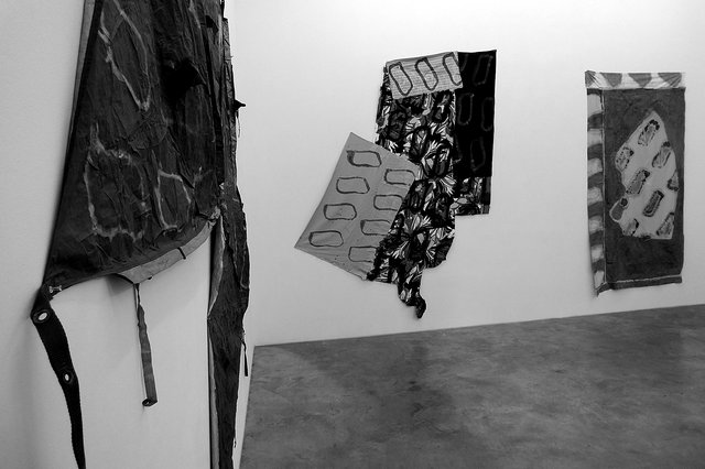 Exposition de l'artiste Claude Viallat