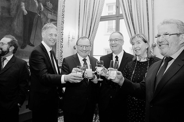 Réception de Nouvel An à la Chambre des députés le 7 janvier 2019