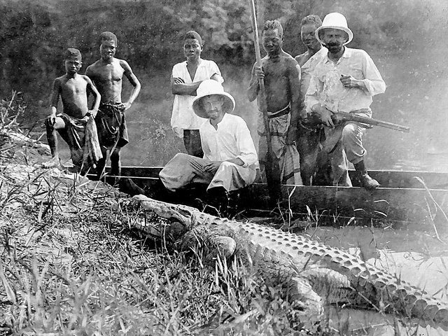 Le naturaliste Edouard Luja lors d’une chassu au crocodile, Congo-Sankuru, 1912
